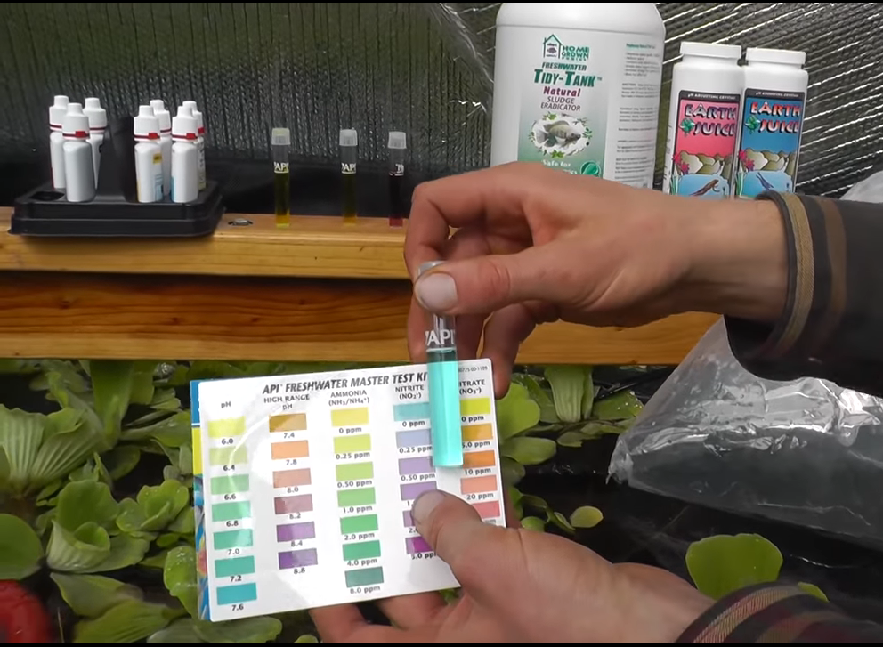 Cycling your Greenhouse Aquaponic System - Growing Spaces