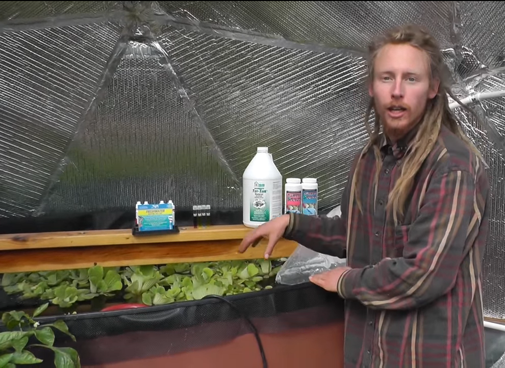 Cycling your Greenhouse Aquaponic System - Growing Spaces
