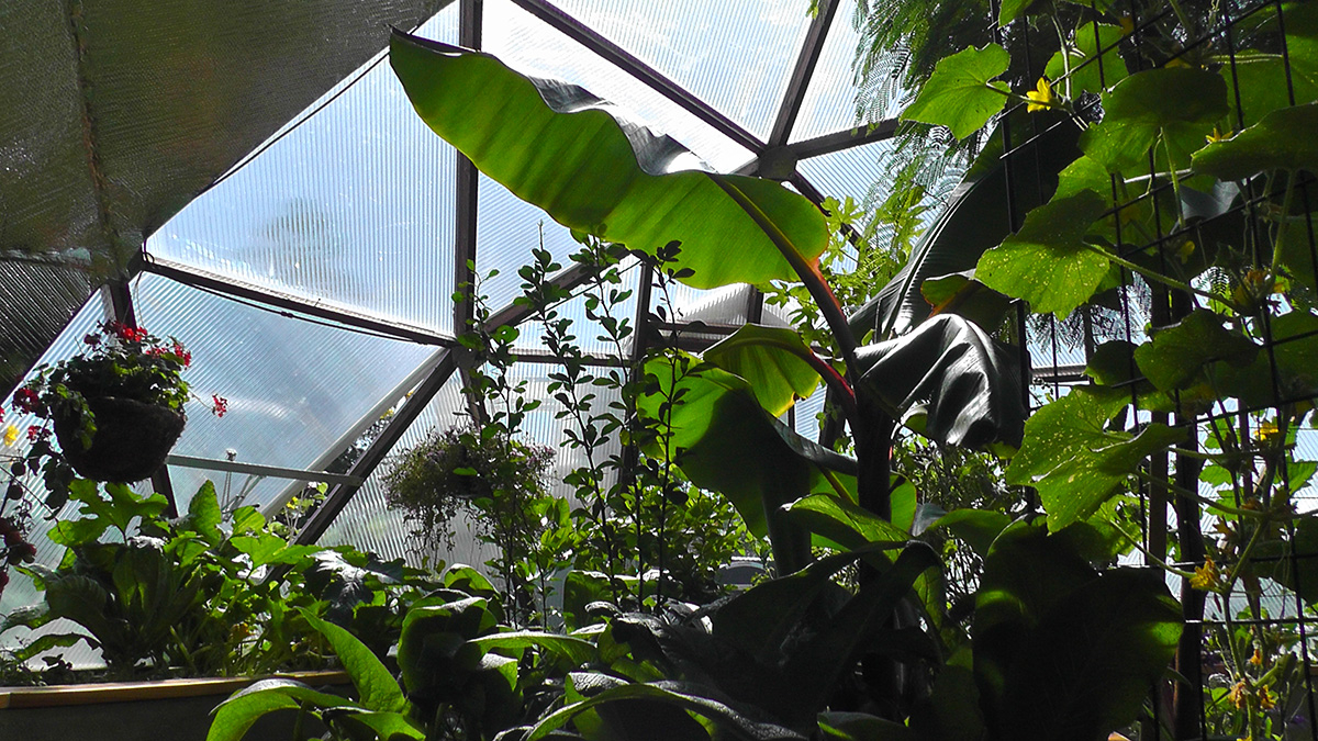 Solar Greenhouses, Geodesic Dome Greenhouses, Home ...